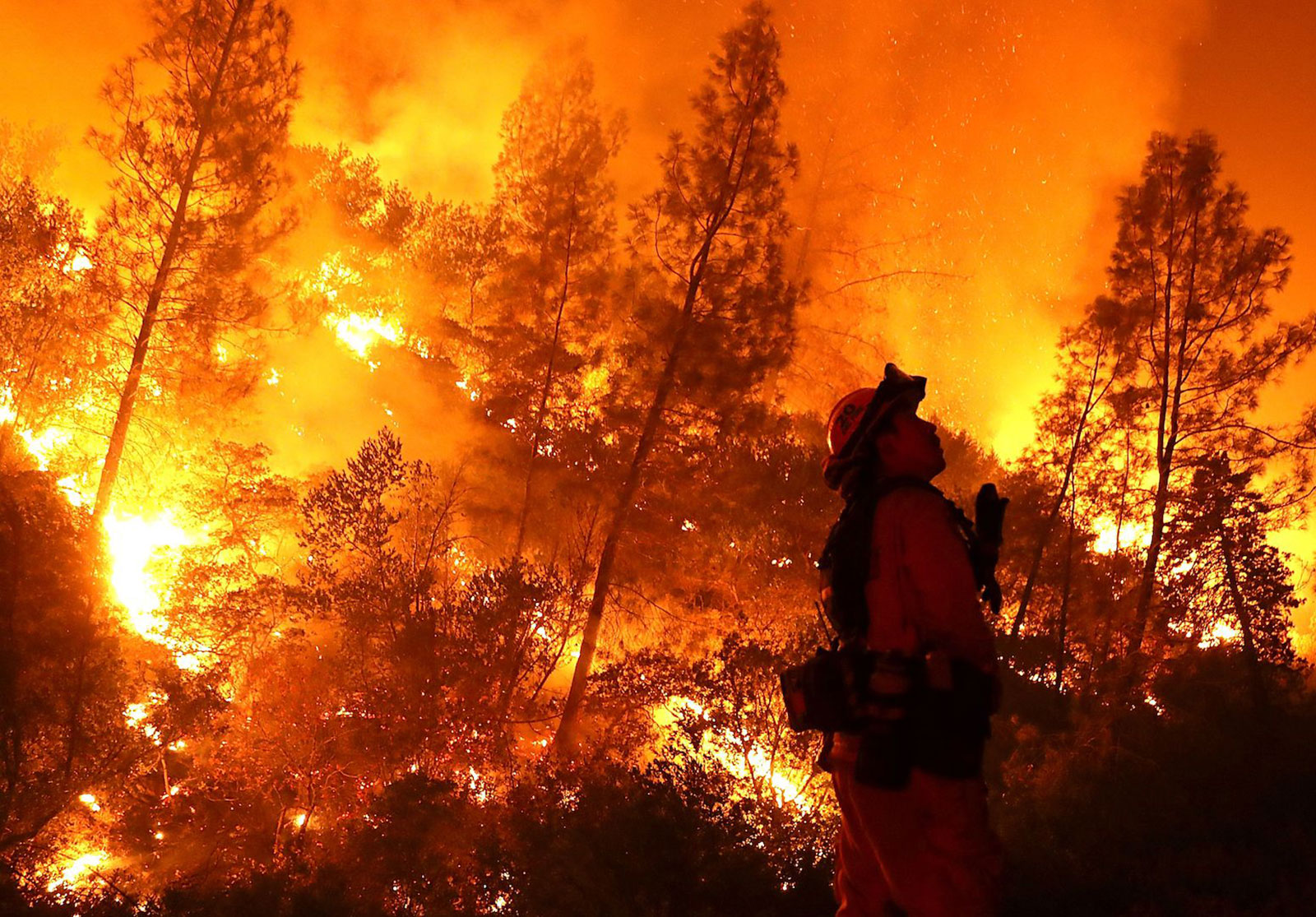 American Red Cross - California Wildfires